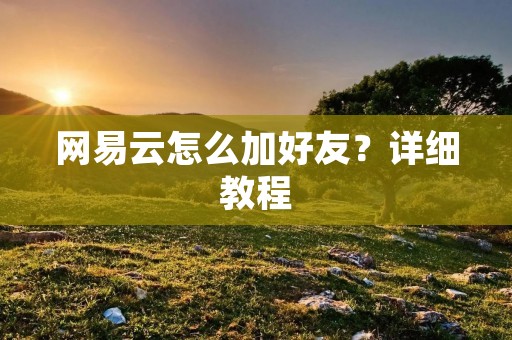 网易云怎么加好友？详细教程