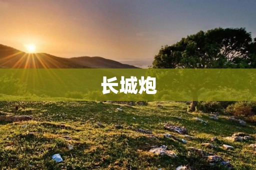 长城炮:中国自主研发的高超音速武器