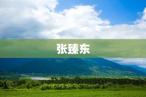 张臻东：青年企业家的创业之路