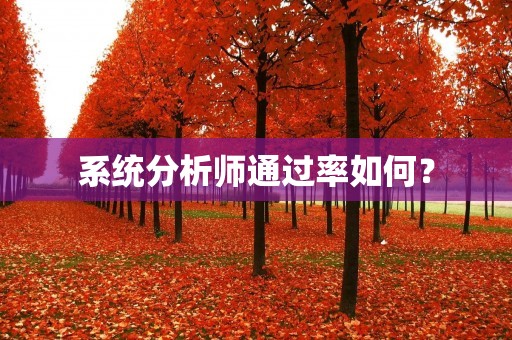 系统分析师通过率如何?