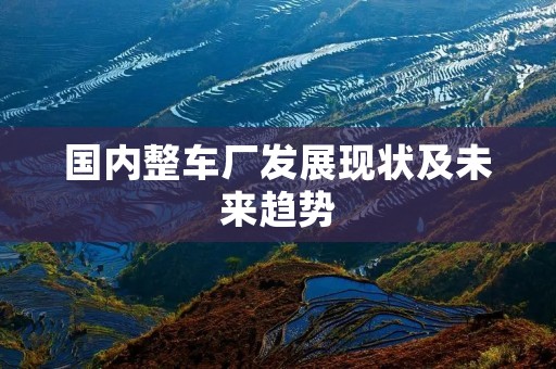 国内整车厂发展现状及未来趋势 国内整车厂发展现状及未来趋势