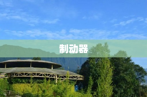 制动器：汽车刹车系统的关键组件