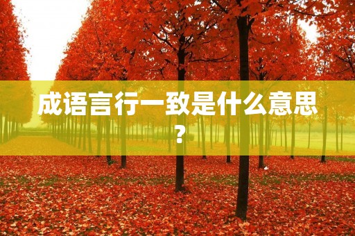 成语言行一致是什么意思?