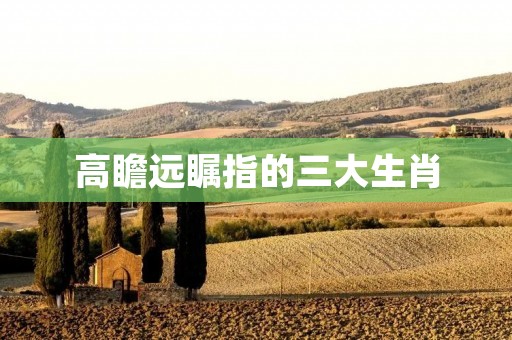 高瞻远瞩指的三大生肖
