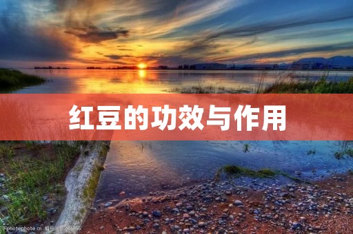 红豆的功效与作用 红豆的功效与作用