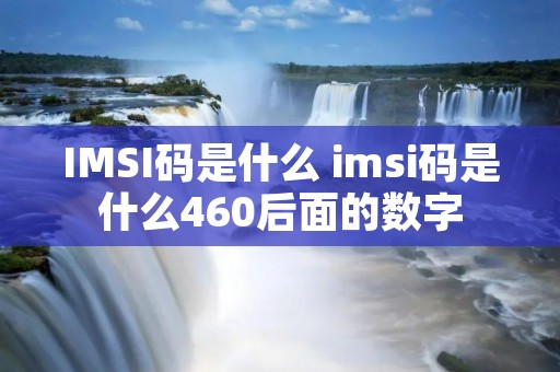 IMSI码是什么 imsi码是什么460后面的数字