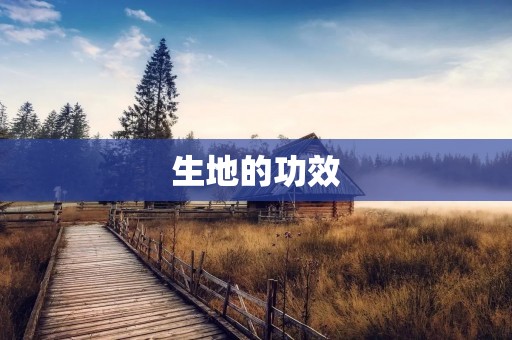 生地的功效：让身体健康无忧