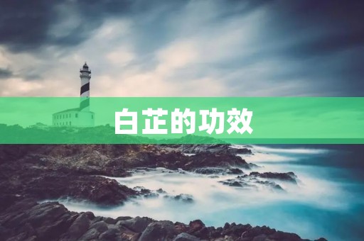 白芷的功效：清热解毒、祛风止痛