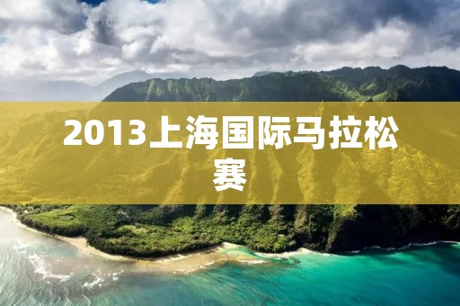 2013上海国际马拉松赛:跑出健康、跑出欢乐