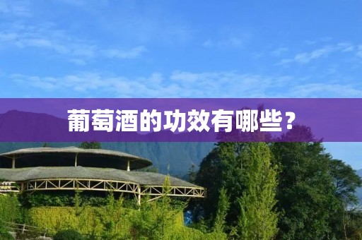 葡萄酒的功效有哪些？