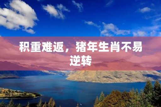 积重难返,猪年生肖不易逆转