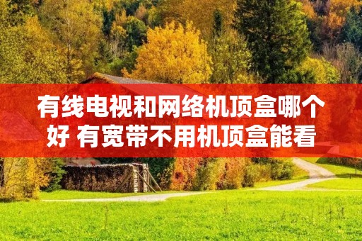 有线电视和网络机顶盒哪个好 有宽带不用机顶盒能看电视么
