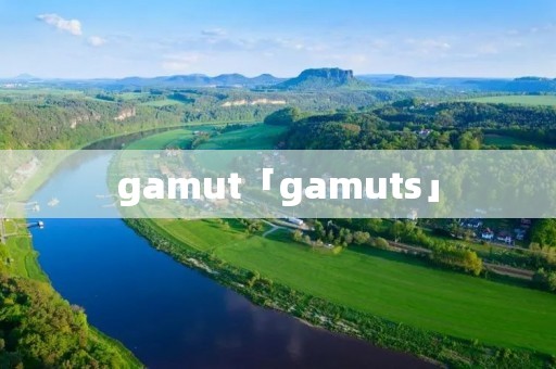 gamut「gamuts」