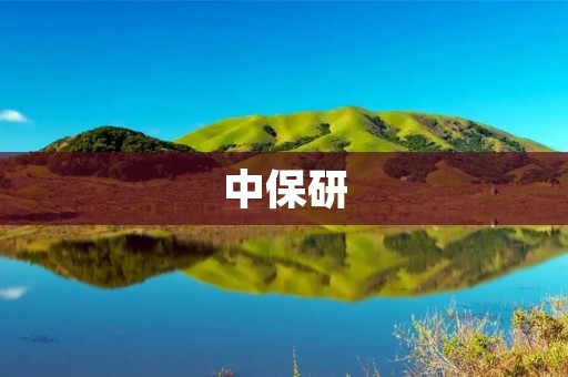 中保研：中国保险业的技术创新引领者