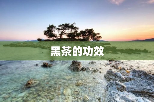 黑茶的功效：提高免疫力，降低血脂