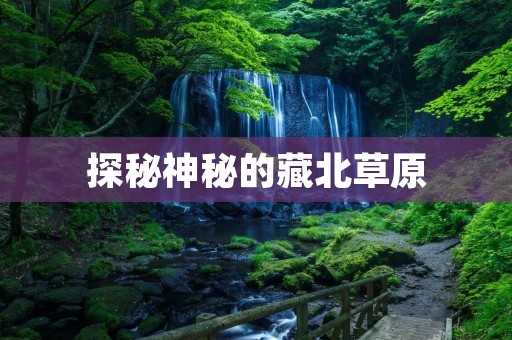 探秘神秘的藏北草原 探秘神秘的藏北草原