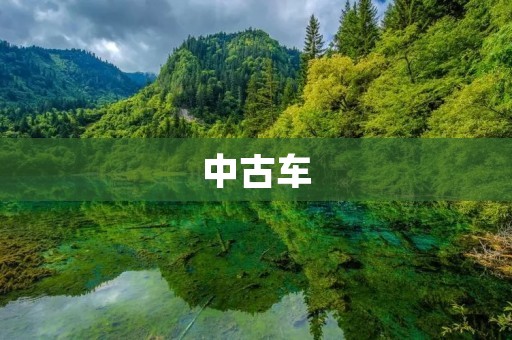 中古车:低价购买可靠车辆的明智选择 中古车:低价购买可靠车辆的明智选择