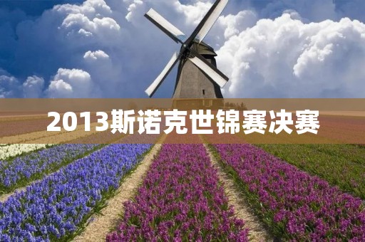 2013斯诺克世锦赛决赛:霍金斯夺冠成为历史上最年长冠军 2013斯诺克世锦赛决赛:霍金斯夺冠成为历史上最年长冠军