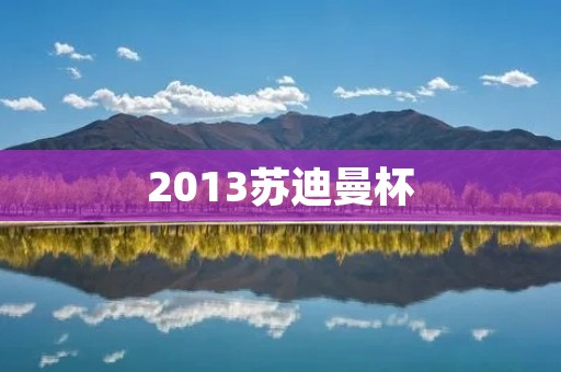 2013苏迪曼杯:中国队夺得历史性第九冠 2013苏迪曼杯:中国队夺得历史性第九冠