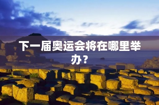 下一届奥运会将在哪里举办？
