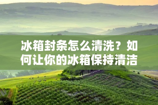 冰箱封条怎么清洗？如何让你的冰箱保持清洁？