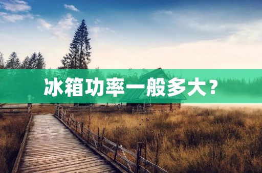 冰箱功率一般多大？