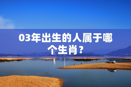 03年出生的人属于哪个生肖？