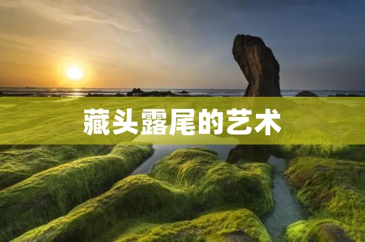 藏头露尾的艺术