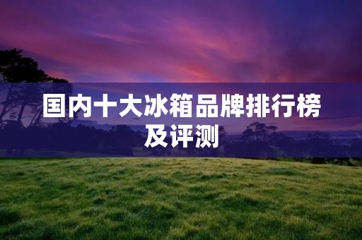 国内十大冰箱品牌排行榜及评测 国内十大冰箱品牌排行榜及评测