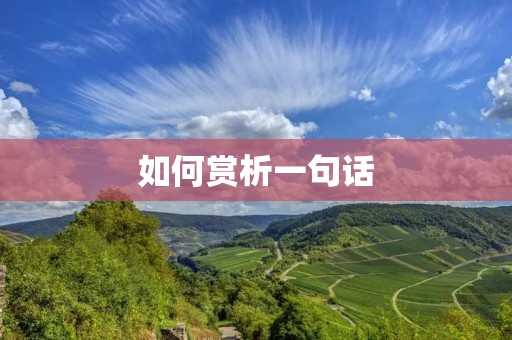 如何赏析一句话