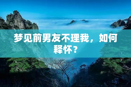 梦见前男友不理我，如何释怀？