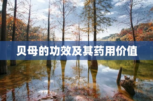 贝母的功效及其药用价值
