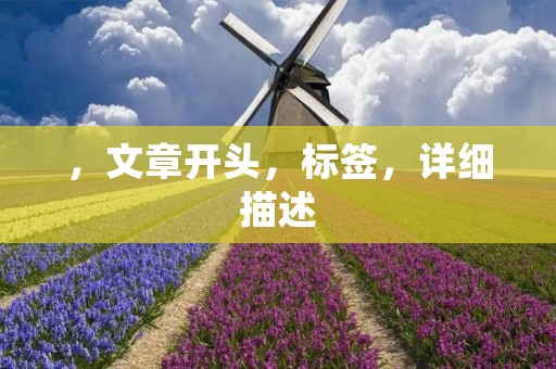 ，文章开头，标签，详细描述
