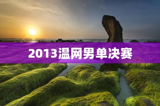 2013温网男单决赛:穆雷夺冠历史性一刻 2013温网男单决赛:穆雷夺冠历史性一刻