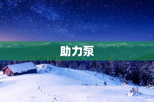 助力泵:汽车动力传输的重要组成部分 助力泵:汽车动力传输的重要组成部分