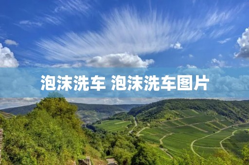 泡沫洗车 泡沫洗车图片