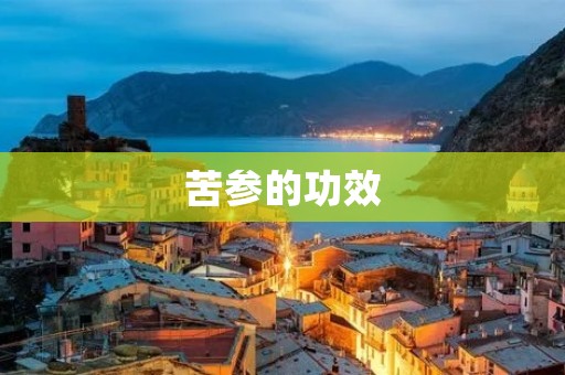 苦参的功效：从中药角度解读苦参的医疗价值