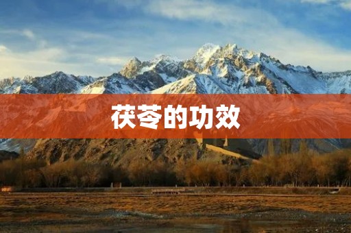 茯苓的功效：从中医角度探究