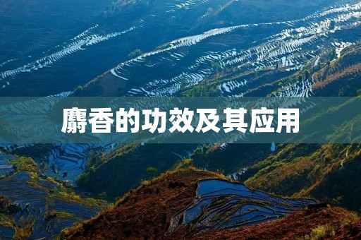 麝香的功效及其应用 麝香的功效及其应用
