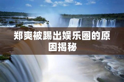 郑爽被踢出娱乐圈的原因揭秘