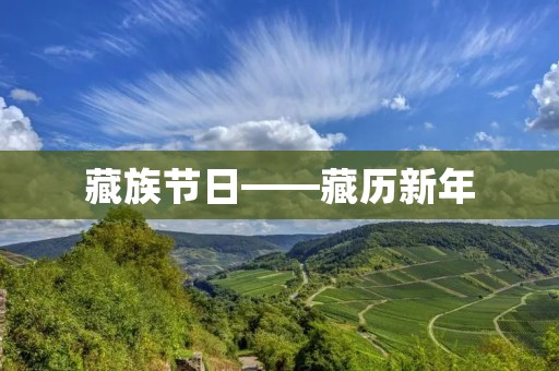 藏族节日——藏历新年