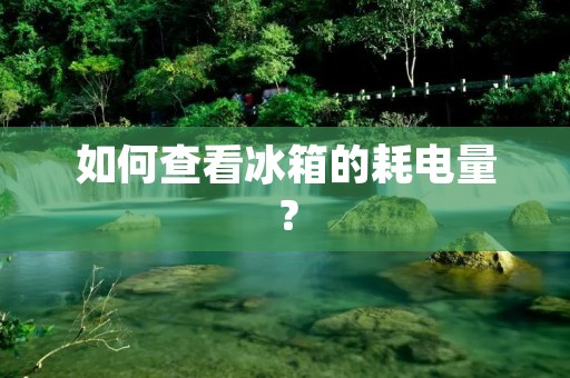 如何查看冰箱的耗电量？