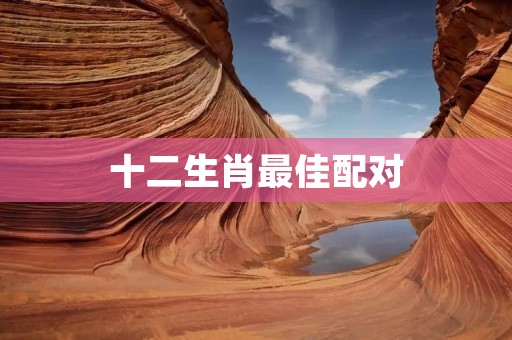 十二生肖最佳配对：让你的爱情更美满