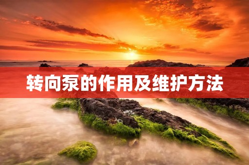 转向泵的作用及维护方法 转向泵的作用及维护方法