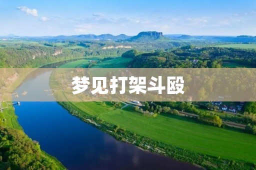 梦见打架斗殴：预示着什么？