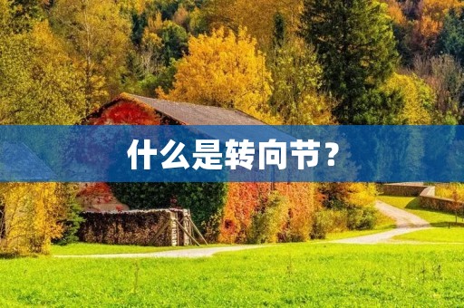 什么是转向节？