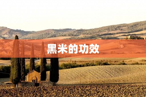 黑米的功效:让你健康无忧 黑米的功效:让你健康无忧