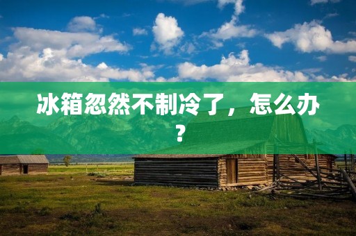 冰箱忽然不制冷了，怎么办？