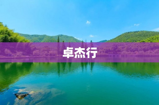 卓杰行:打造全球领先的智能物流平台 卓杰行:打造全球领先的智能物流平台