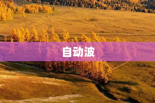 自动波:汽车行业的新趋势 自动波:汽车行业的新趋势